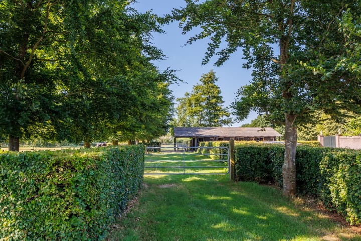 Foto 72 van Potkuilen 7