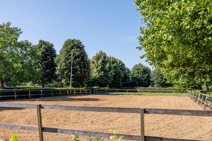 Foto 66 van Potkuilen 7