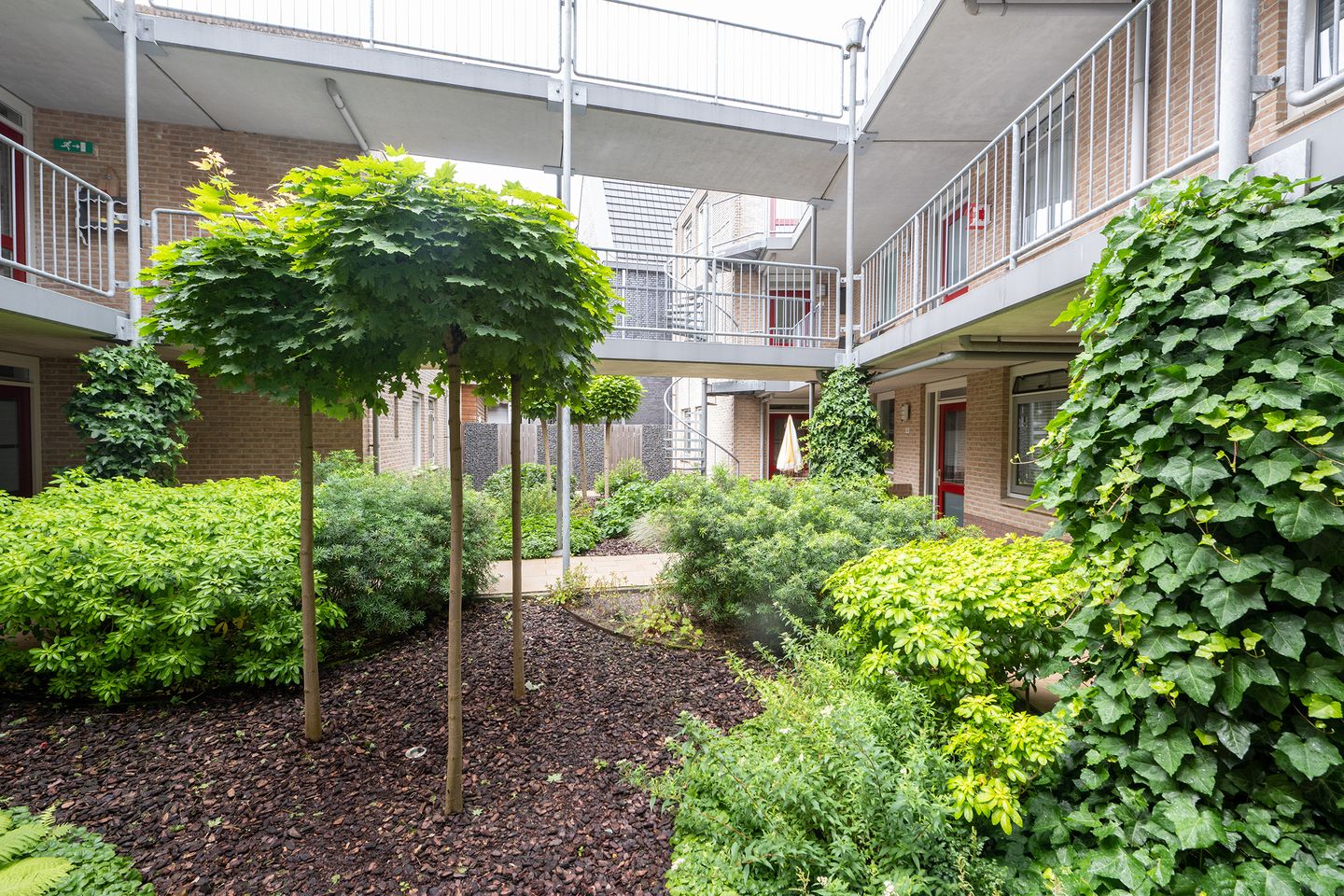 Foto 25 van Nachtegaalstraat 51