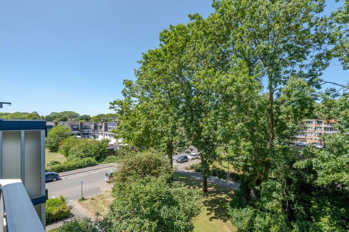 Foto 23 van Batavenoord 21