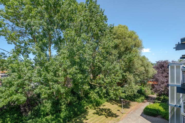 Foto 24 van Batavenoord 21