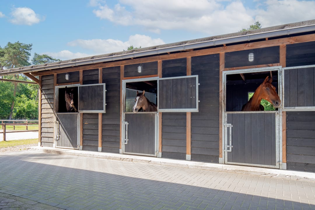 Photo 38 of Haarweg 60