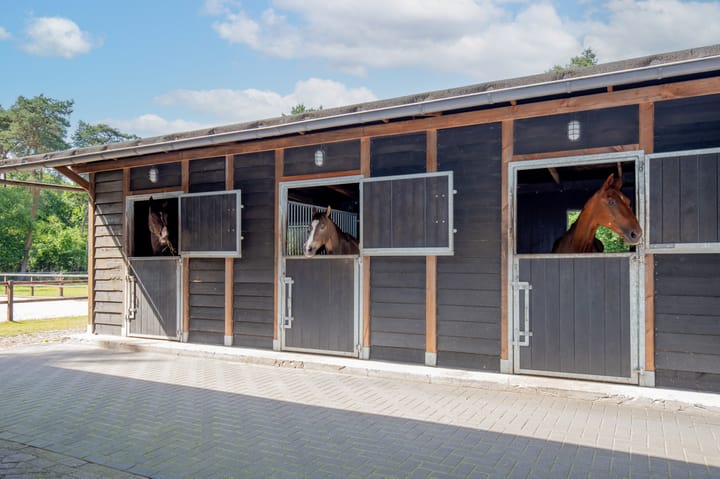 Foto 38 van Haarweg 60