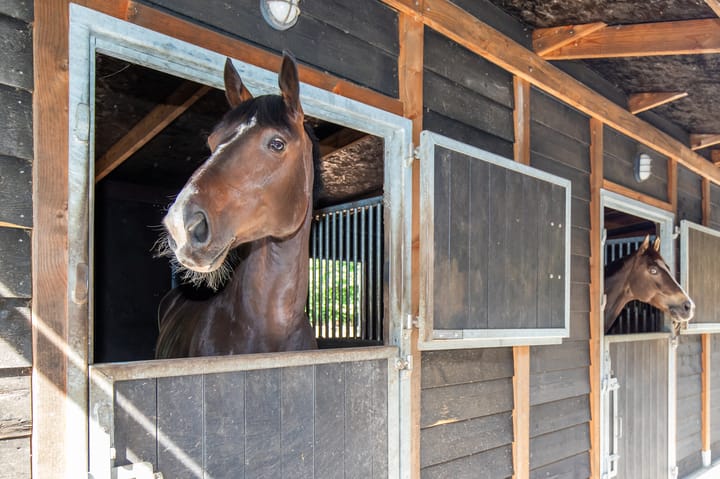 Foto 39 van Haarweg 60