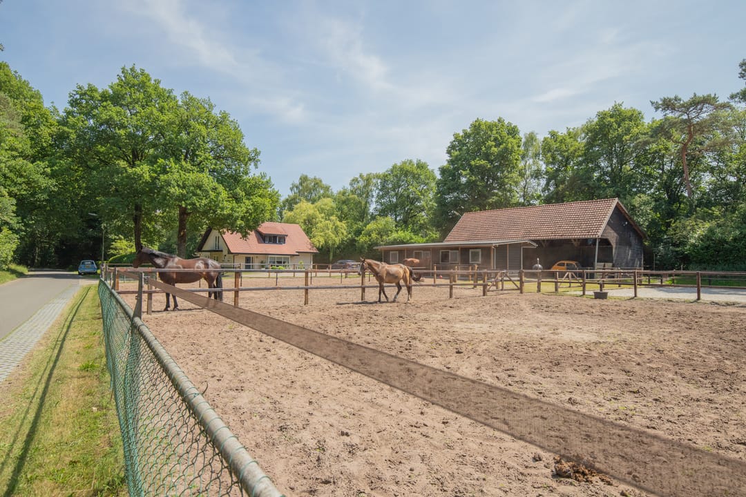 Photo 41 of Haarweg 60