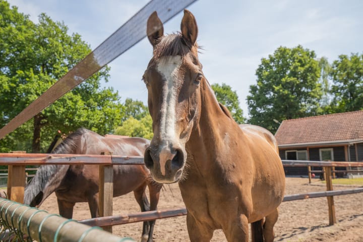 Foto 43 van Haarweg 60