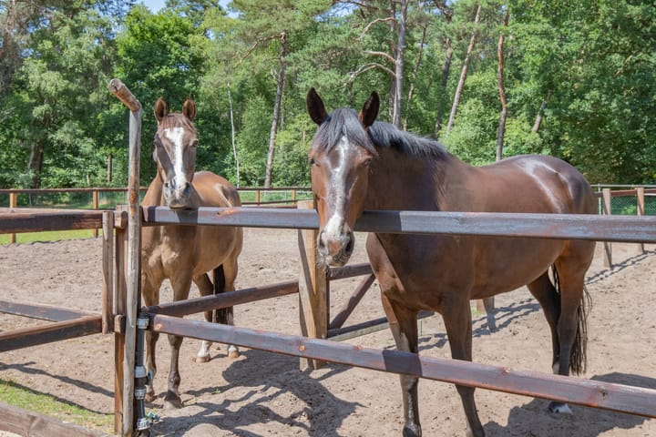 Foto 44 van Haarweg 60