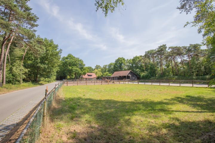 Foto 46 van Haarweg 60