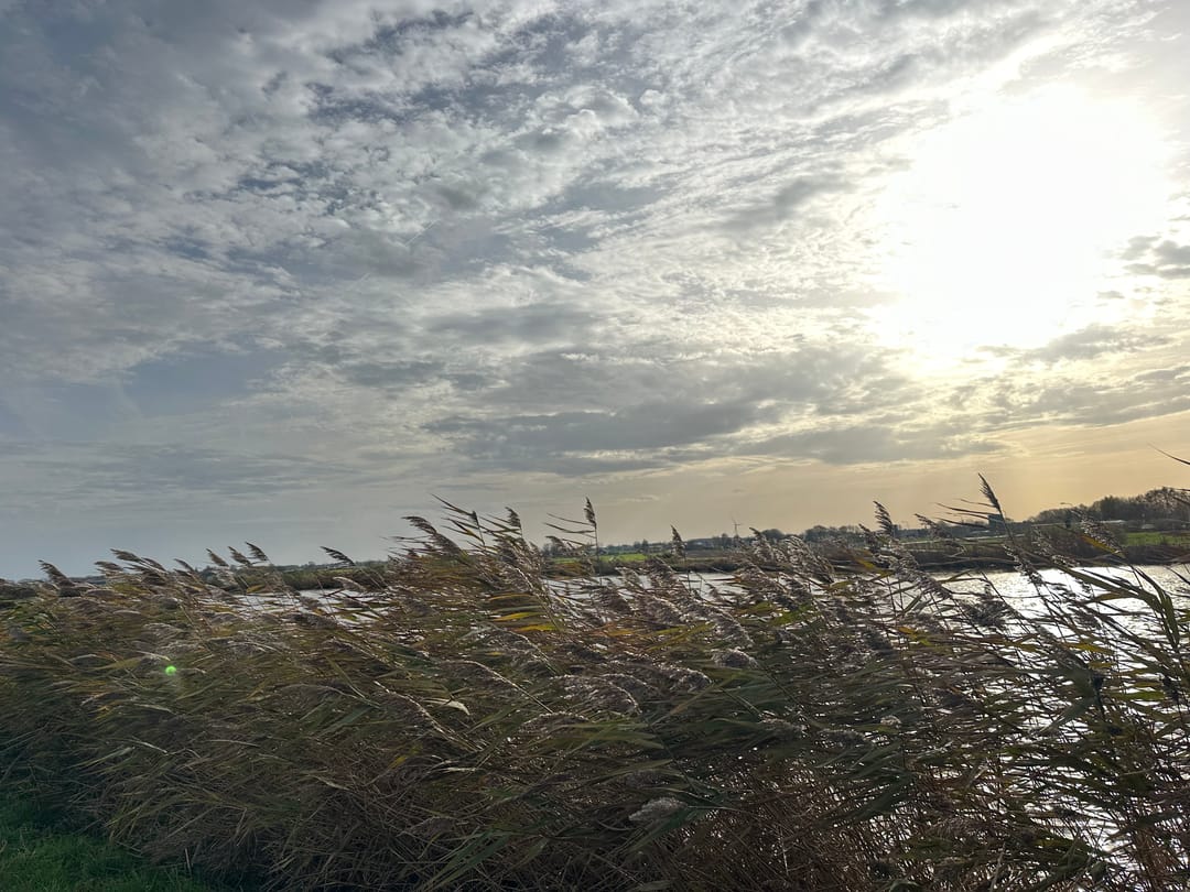 Foto 13 van Amsteldijk Zuid 204 B