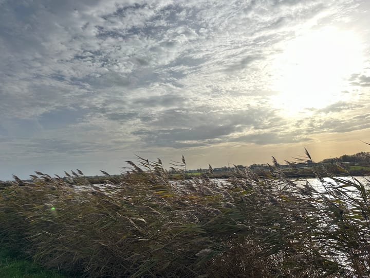 Foto 13 van Amsteldijk Zuid 204 B