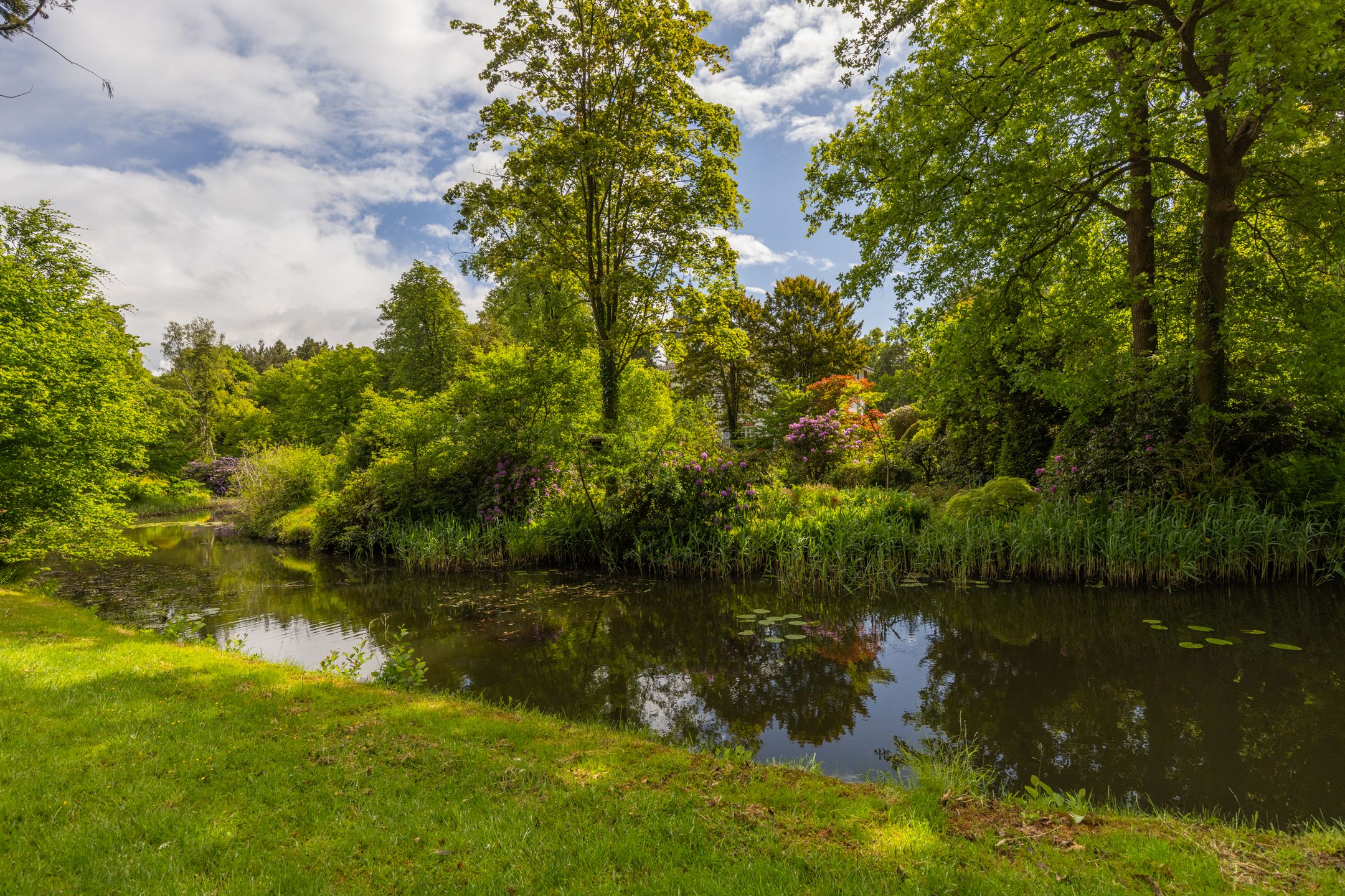 Foto 66 van Almelosestraat 14