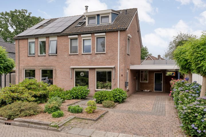 undefined main image