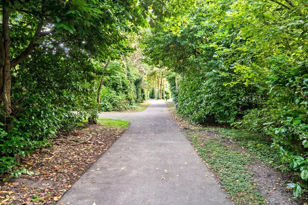 Foto 26 van Pelikaanhof 1