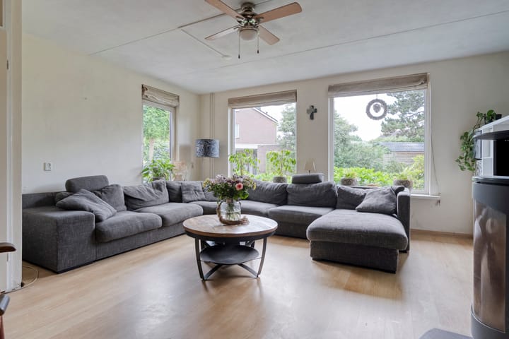 Photo 6 of Meerkoet 6