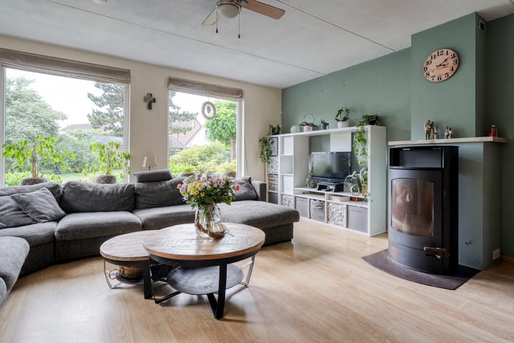 Photo 7 of Meerkoet 6