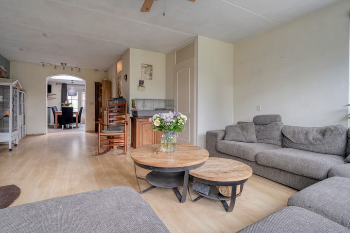 Photo 8 of Meerkoet 6