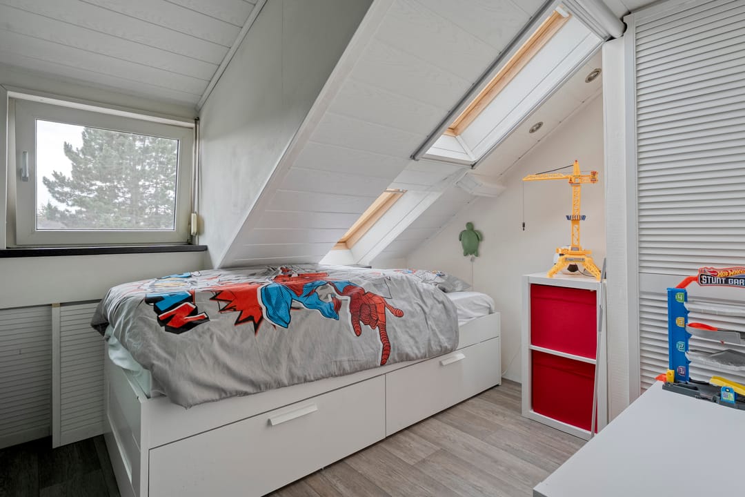 Foto 31 van Meerkoet 6