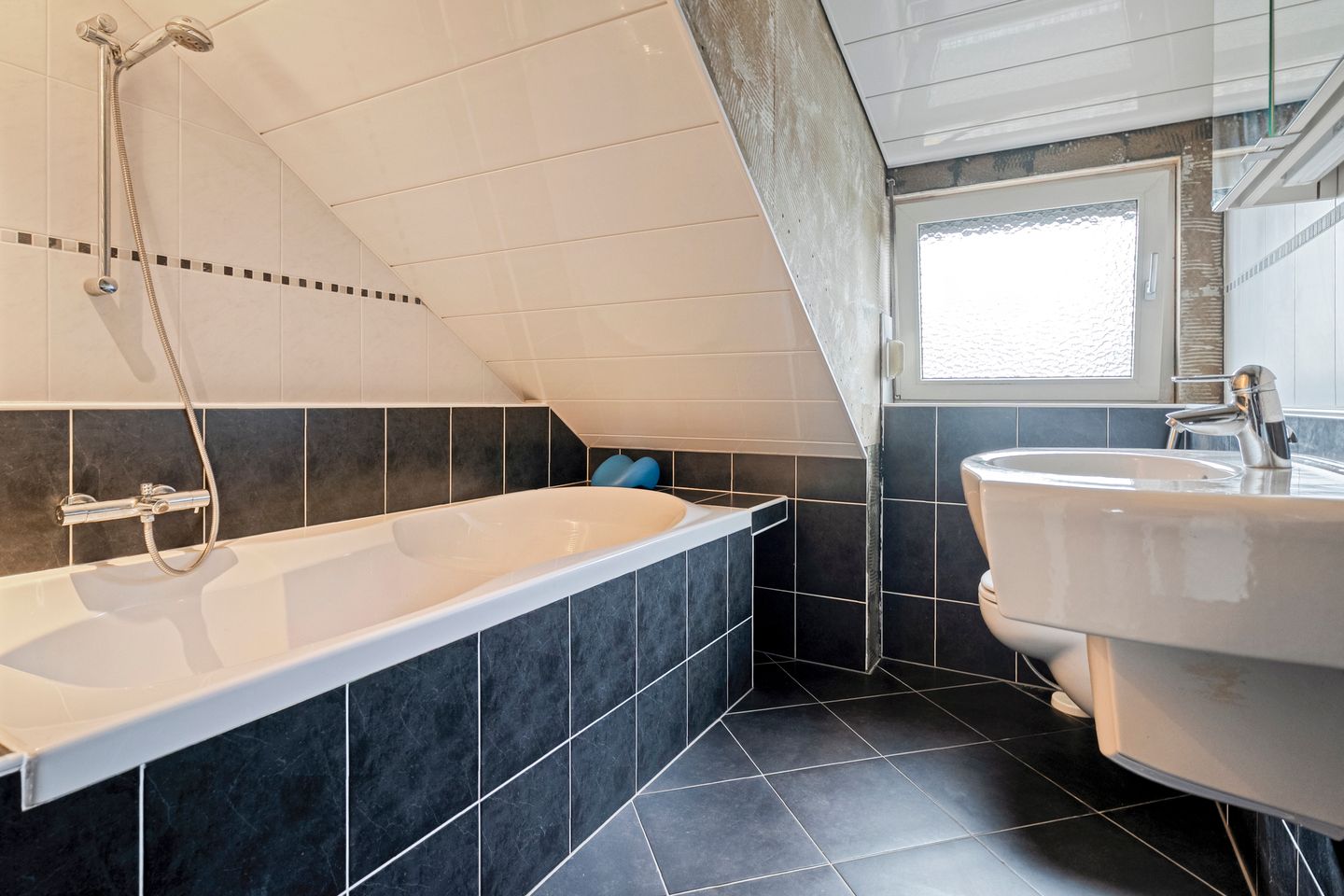 Foto 35 van Meerkoet 6