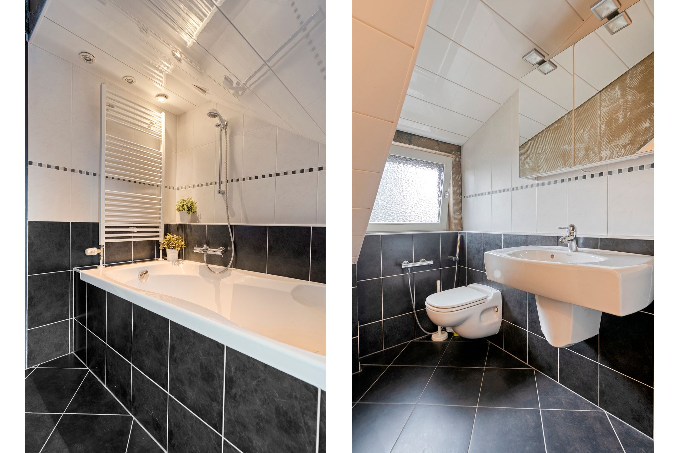 Foto 36 van Meerkoet 6