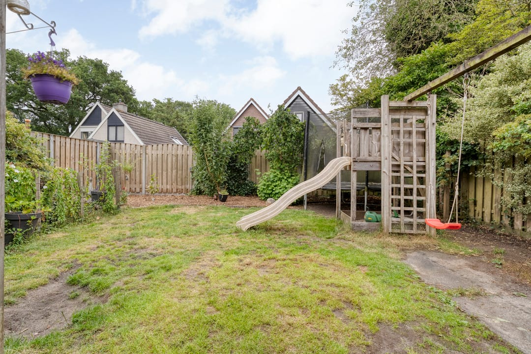 Foto 38 van Meerkoet 6