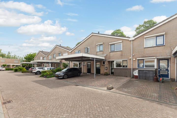 Foto 1 van IJsvogel 11