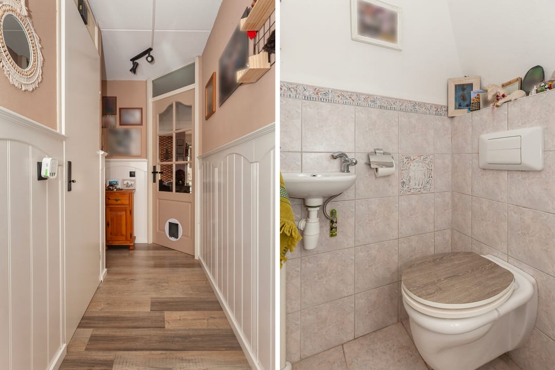 Foto 2 van IJsvogel 11