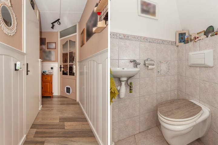 Foto 2 van IJsvogel 11