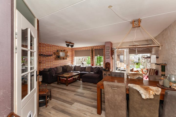 Foto 5 van IJsvogel 11