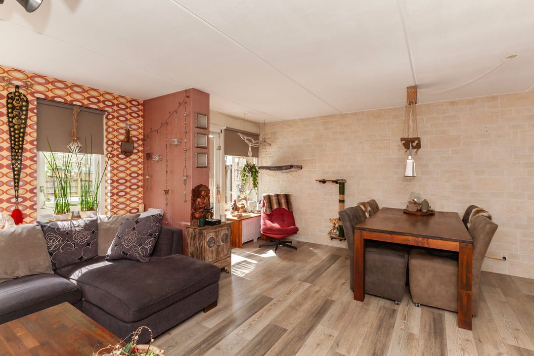 Foto 7 van IJsvogel 11