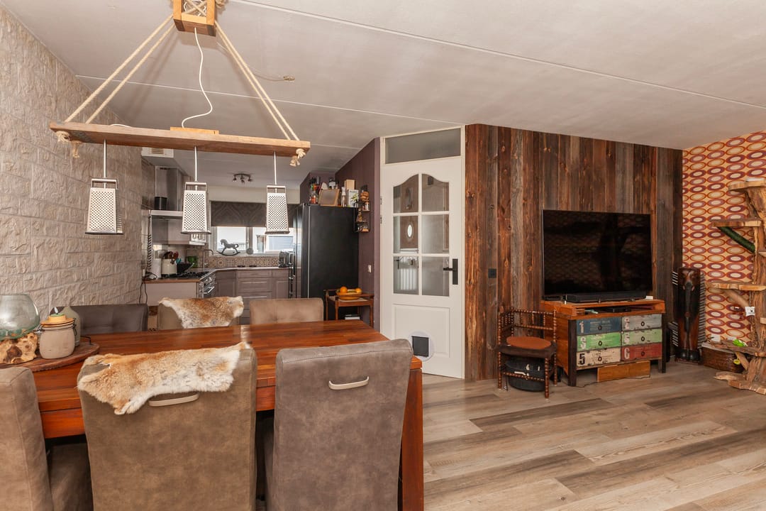 Foto 8 van IJsvogel 11