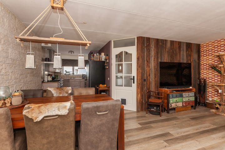 Foto 8 van IJsvogel 11