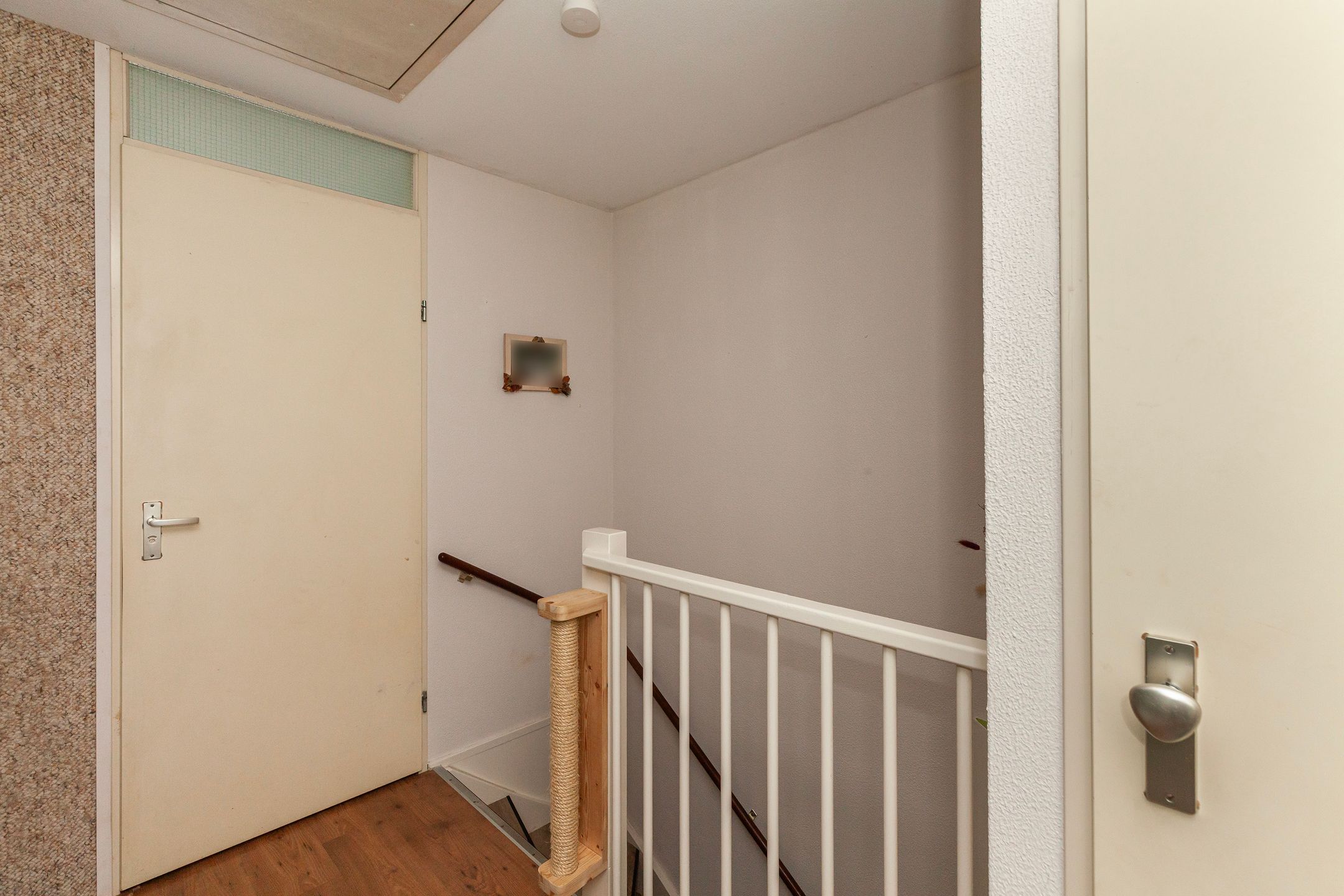 Foto 12 van IJsvogel 11