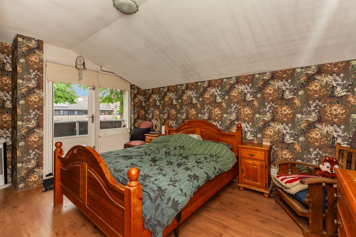 Foto 13 van IJsvogel 11