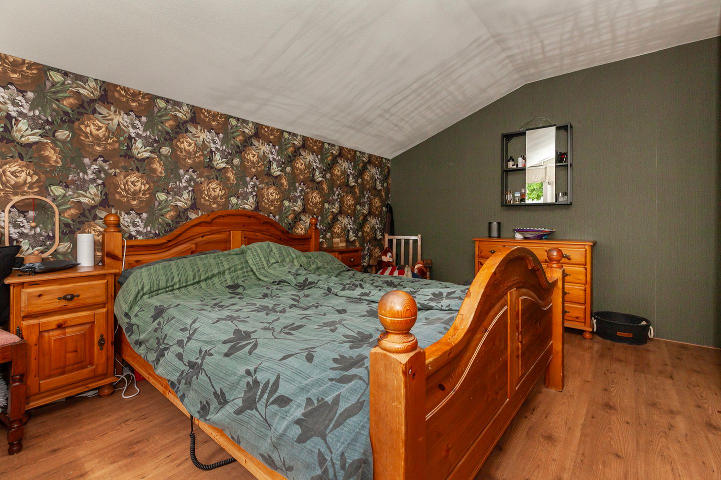 Foto 14 van IJsvogel 11