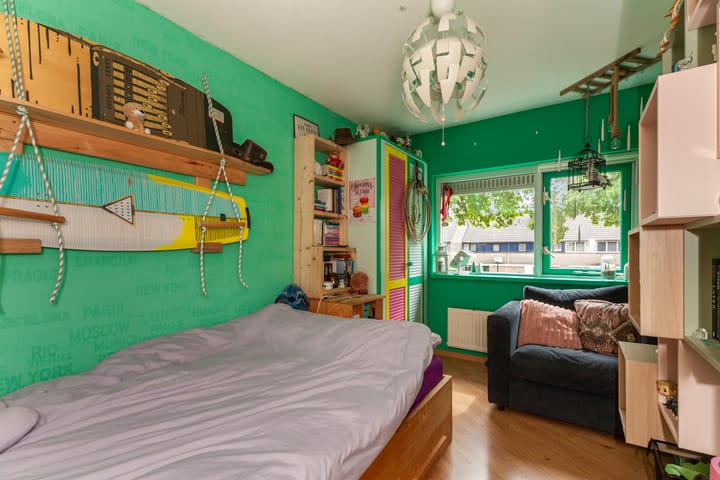 Foto 20 van IJsvogel 11