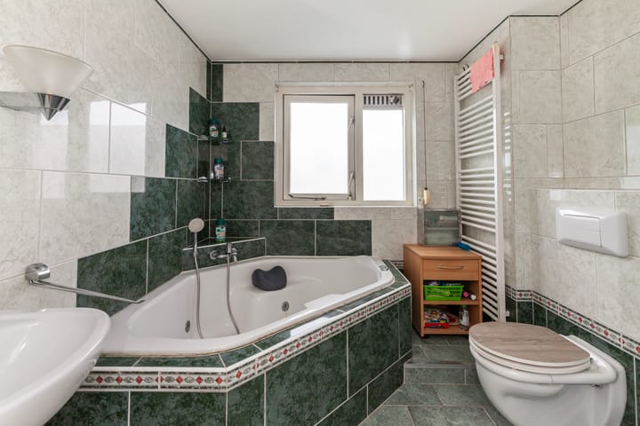 Foto 21 van IJsvogel 11