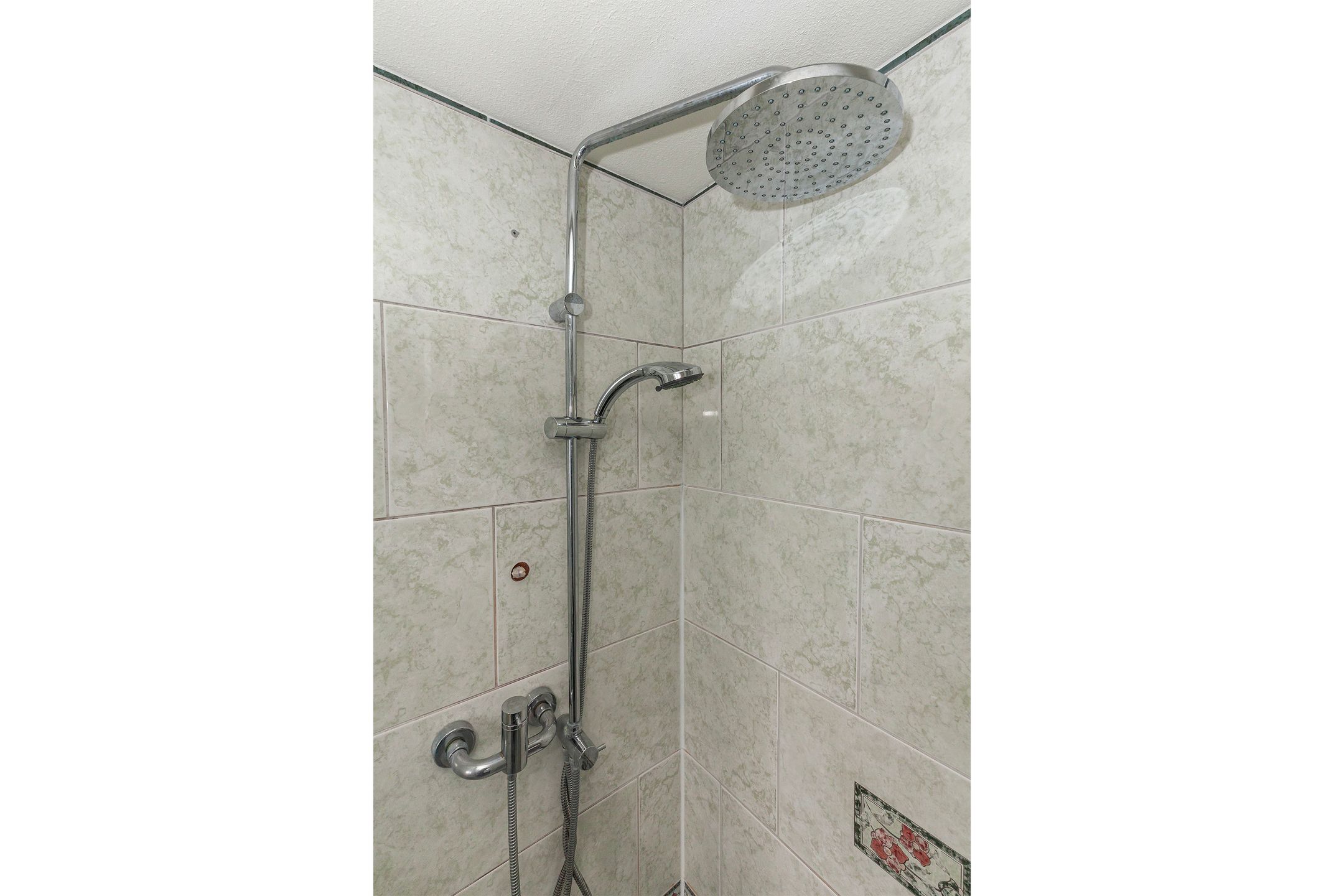 Foto 24 van IJsvogel 11