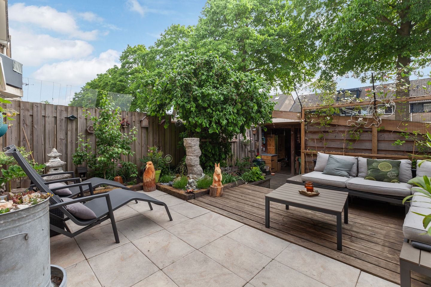 Foto 25 van IJsvogel 11