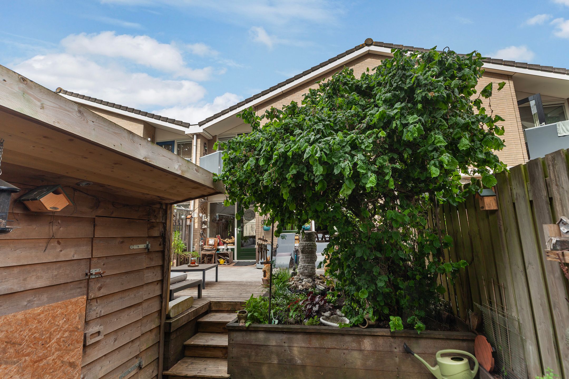 Foto 30 van IJsvogel 11