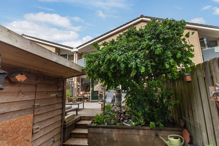 Foto 30 van IJsvogel 11