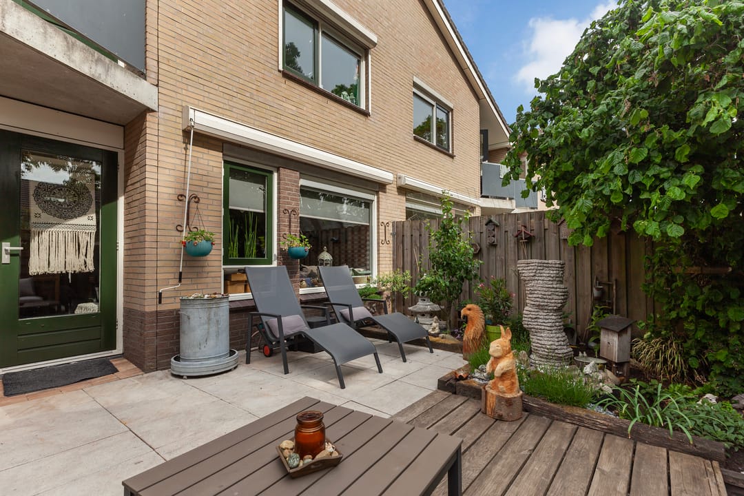 Foto 32 van IJsvogel 11