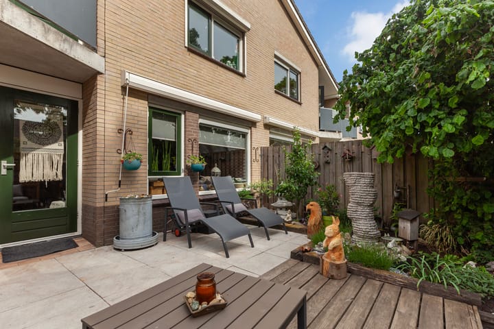 Foto 32 van IJsvogel 11