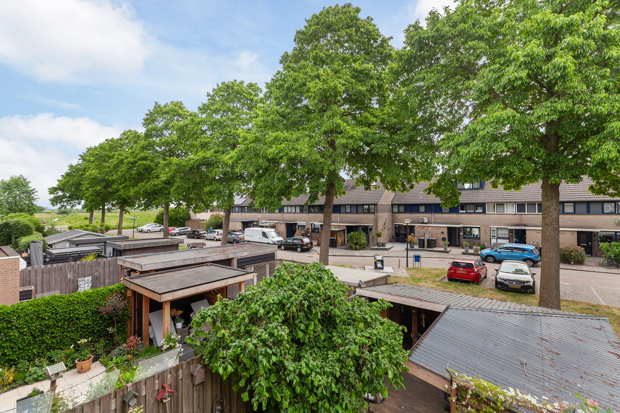 Foto 33 van IJsvogel 11