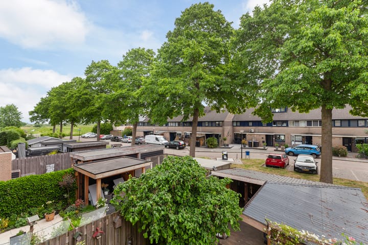 Foto 33 van IJsvogel 11