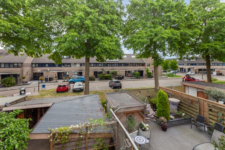 Foto 34 van IJsvogel 11