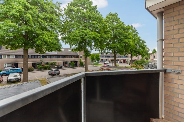 Foto 35 van IJsvogel 11