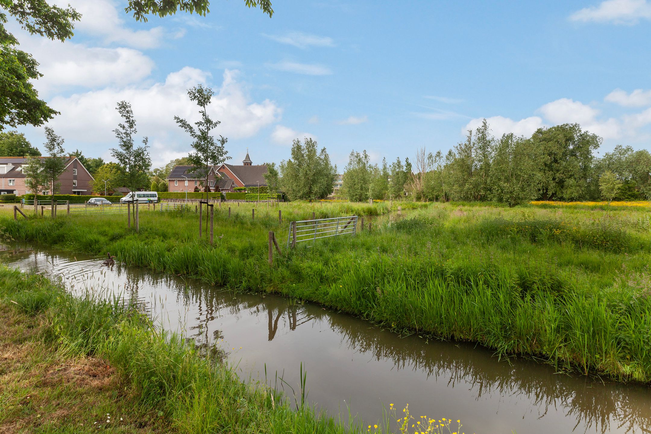 Foto 36 van IJsvogel 11