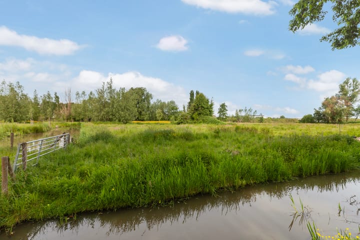 Foto 37 van IJsvogel 11