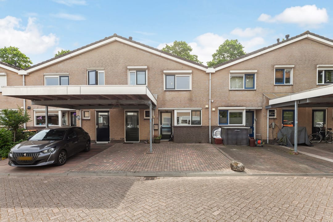 Foto 38 van IJsvogel 11