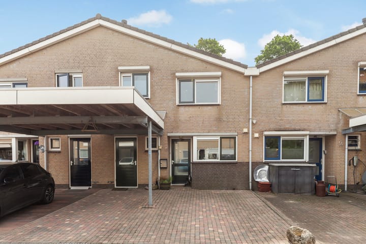 Foto 39 van IJsvogel 11